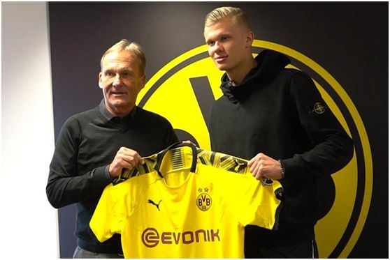 奥斯马奇度假村涉诈被制裁